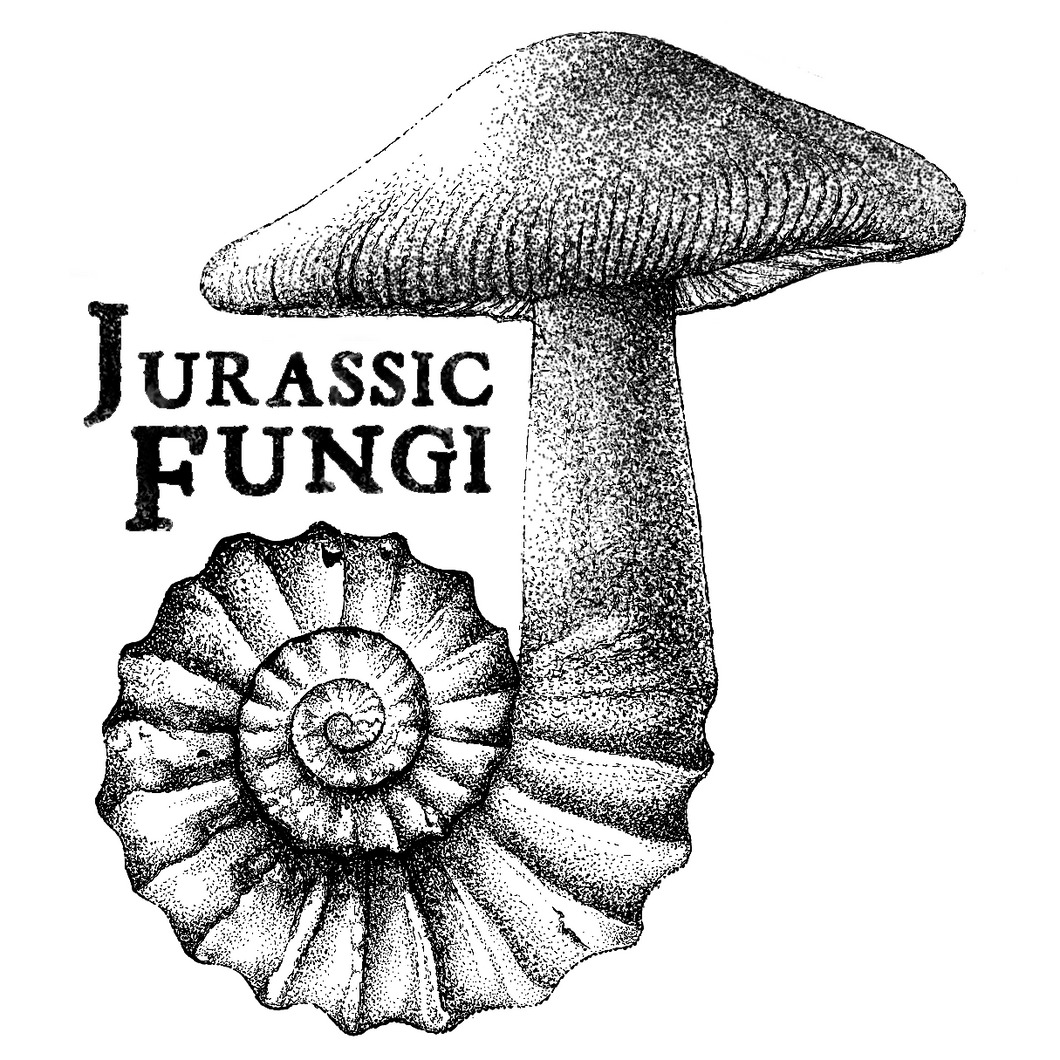 Jurassic Fungi Gift Card